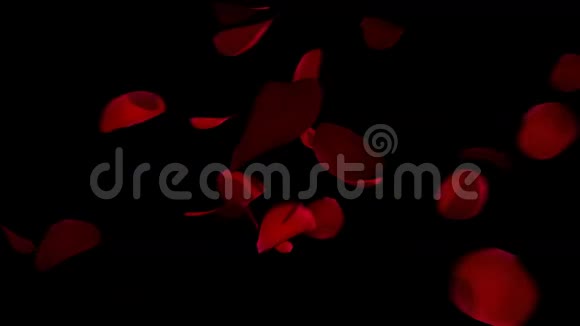 来自玫瑰花瓣的心动画视频的预览图