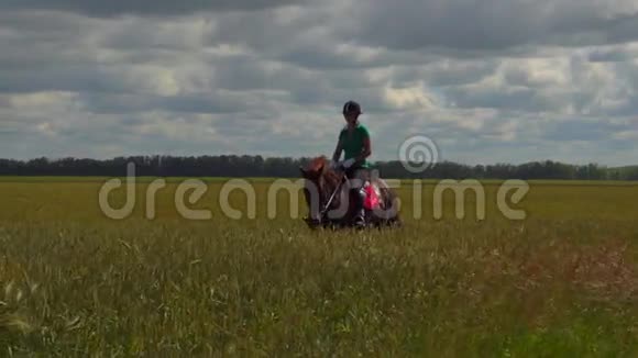 骑马的年轻女子在田野上视频的预览图