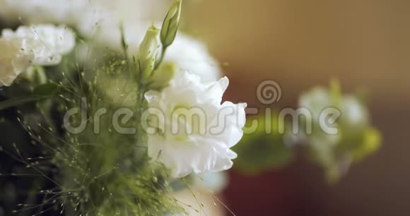 桌子上的花漂亮的花视频的预览图