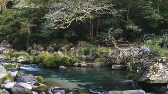 秋天森林里的河流视频的预览图