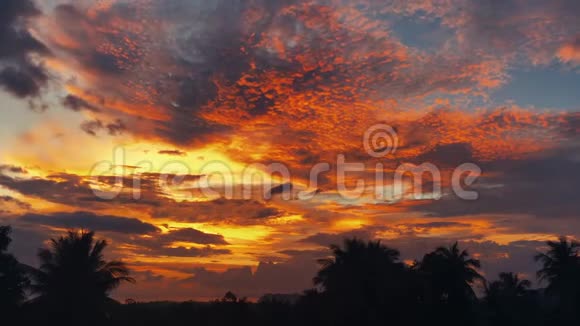 时光流逝夕阳西下丛林中的日出棕榈树的轮廓明亮的卷云视频的预览图