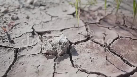 非常美丽和真实的干裂土太大了电影视频的预览图
