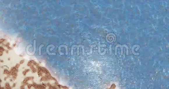 空中海鸥飞越海洋水面和岛屿视频的预览图