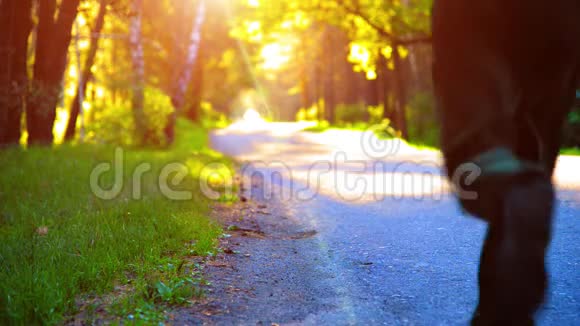 运动男在柏油路跑步乡村城市公园绿树森林和地平线上的阳光视频的预览图