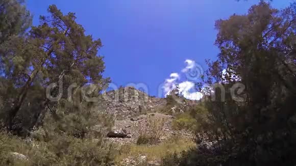 夏季4KUHD山区时间云绿树和阳光运动视频的预览图