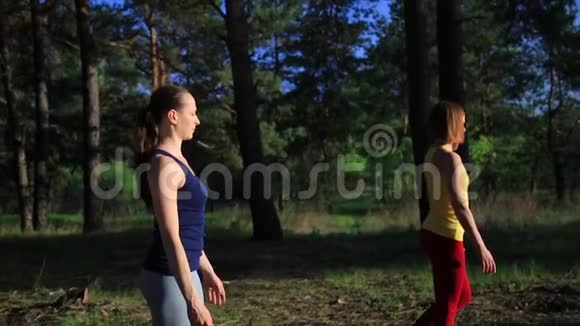 两个女孩在森林日落时冥想练习瑜伽健身运动视频的预览图