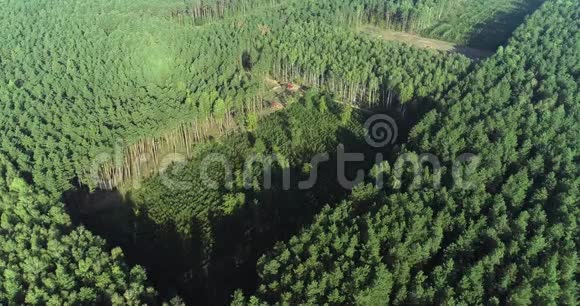 工业规模的毁林空中伐木使用特殊设备砍伐森林砍伐森林视频的预览图