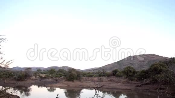 南非的自然风光视频的预览图