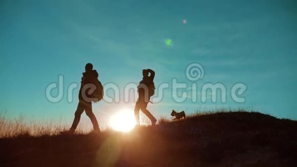 团队合作两个徒步旅行者享受日出从山顶和狗两个徒步旅行者背着背包攀登高峰视频的预览图