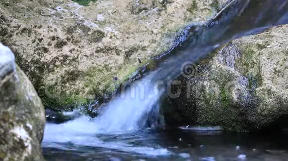 河流中的水流视频的预览图