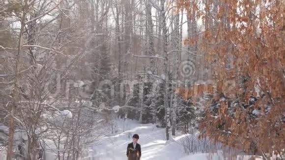 年轻漂亮的女孩骑马在冬天的森林里视频的预览图