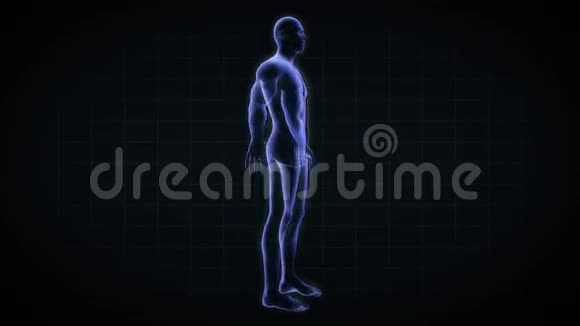 透明人体阿尔法通道4K视频的预览图