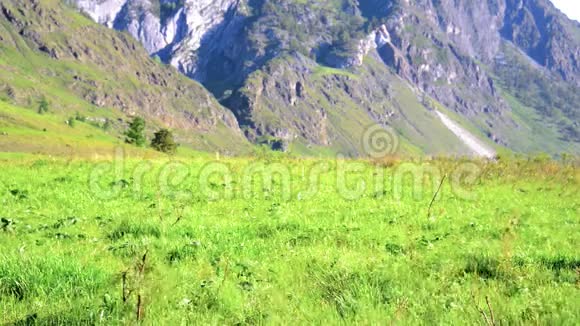 徒步旅行者带着背包在绿色的山地草地上行走夏季运动和娱乐理念视频的预览图