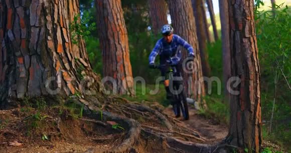 在森林里骑自行车的人视频的预览图