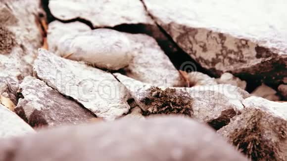 多利滑块拍摄了在森林附近的一条山河里飞溅的水潮湿的岩石和阳光水平稳定视频的预览图