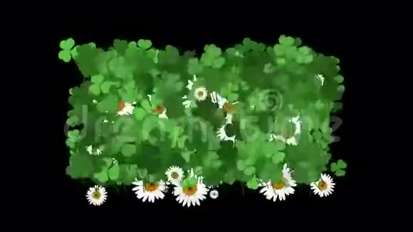 丁香白色雏菊植物植被叶片背景视频的预览图