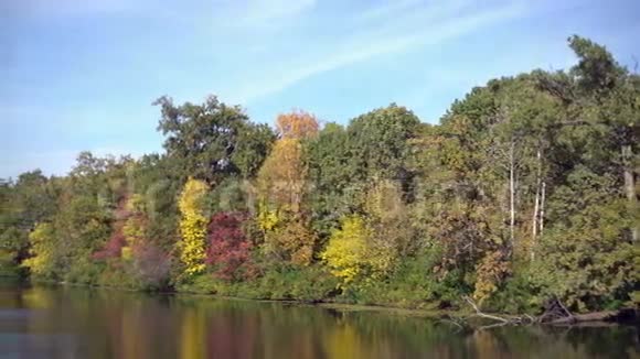 秋天美丽的绿林自然视频的预览图