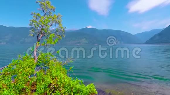 泰莱斯科湖阿尔泰山视频的预览图