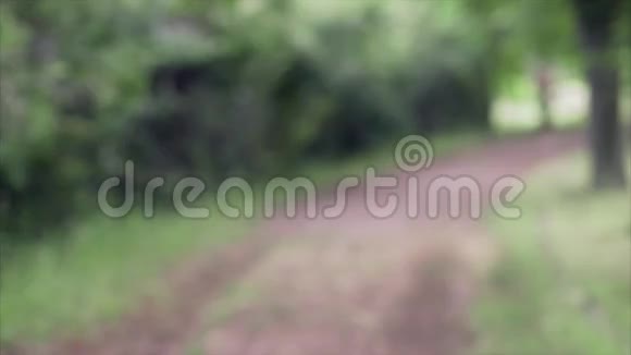 夏天一个女孩正在公园里跑步视频的预览图