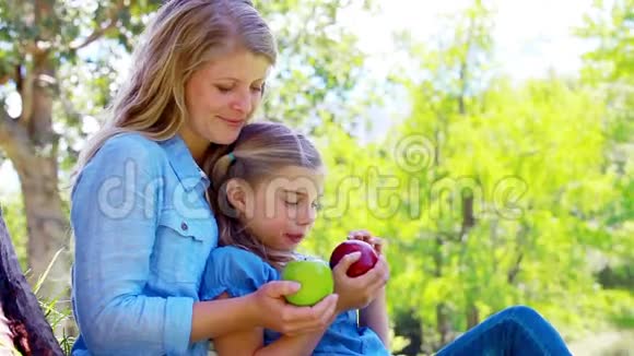 女儿和妈妈抱着苹果视频的预览图