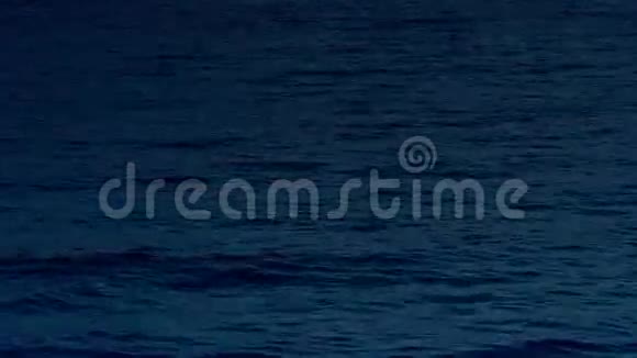 夜晚的大海视频的预览图