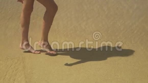 沙滩旅行女子沙滩漫步视频的预览图