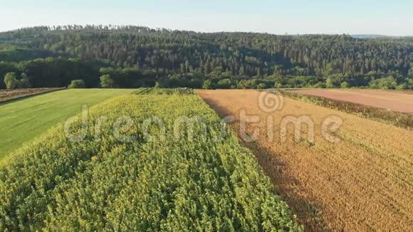 斯瓦比亚森林农业用地的鸟瞰图视频的预览图