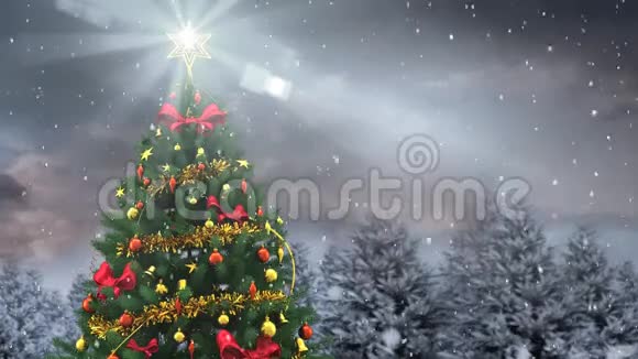 冬天的风景和下雪的圣诞树视频的预览图
