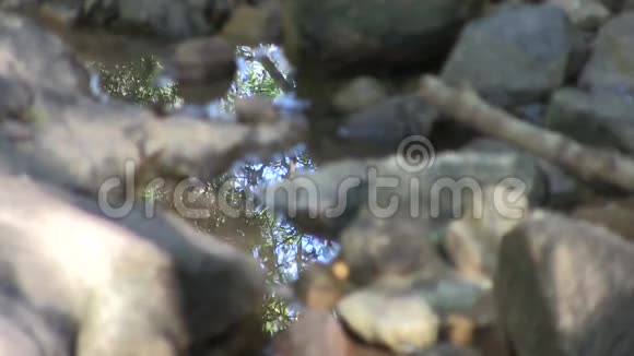 在西伊萨卡溪的岩石中倒影视频的预览图