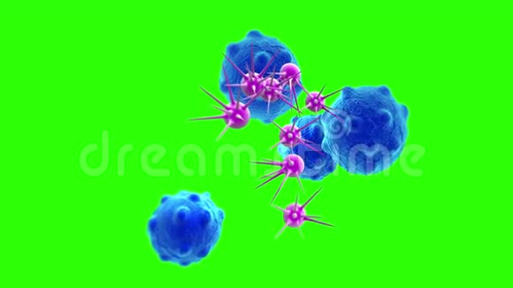 绿色屏幕上高细节的癌细胞视频的预览图