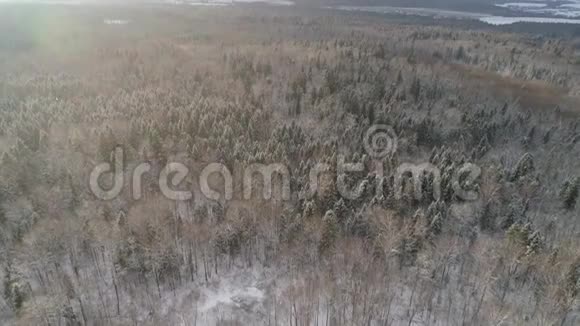 具有森林的冬季景观视频的预览图