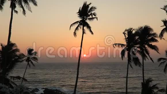 美丽的日落在海滩上棕榈树在加勒比海岛上视频的预览图