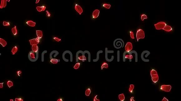 落下有光泽的红色花瓣视频的预览图