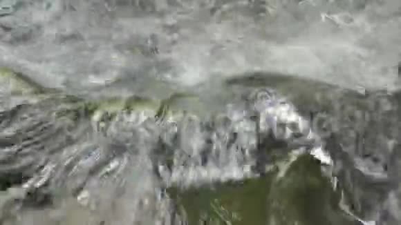 白内障和泼水的河流视频的预览图