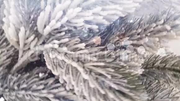 松树背景雪花视频的预览图