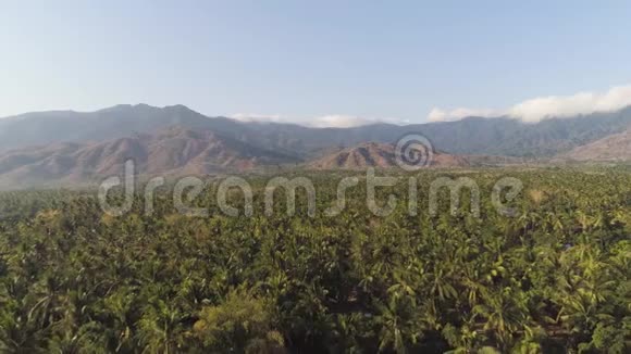 有棕榈树和山脉的热带景观视频的预览图