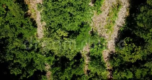 空中岩石地形背景是树木视频的预览图