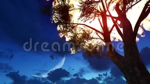黎明时分树在空旷的田野上燃烧视频的预览图