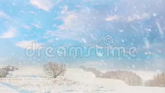 农村冬季景观带降雪视频的预览图