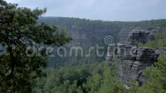 瑞士萨克森的夏季景观视频的预览图