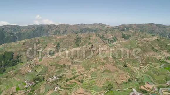 菲律宾卢松山区农田视频的预览图