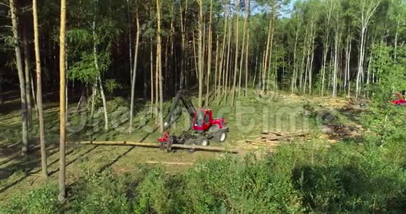 森林收割机树木收割机伐木设备伐木设备视频的预览图