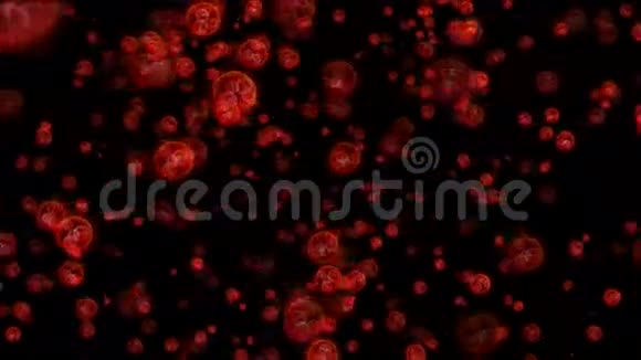微小的红DNA细胞能够循环无缝视频的预览图