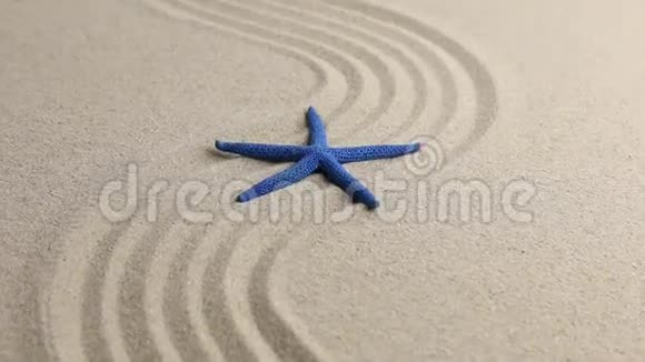 沙上海星的近似视频的预览图