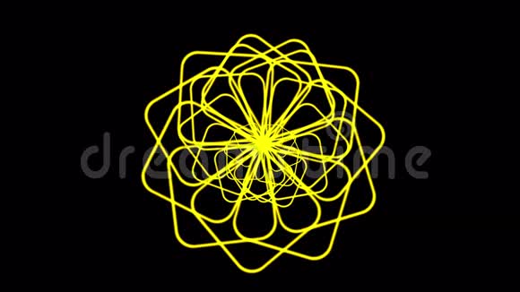 4k黄线形状的花型视频的预览图