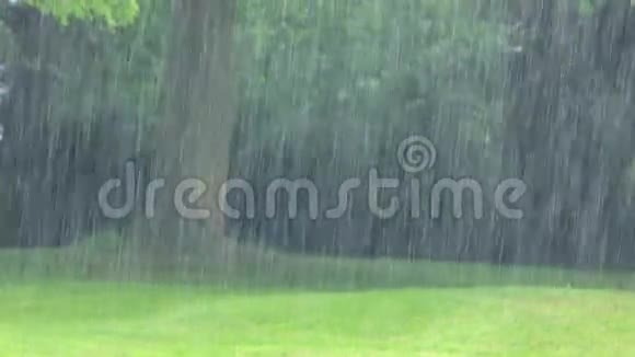 大自然的雨视频的预览图