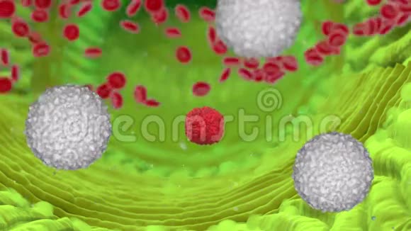 病毒感染的人类有机体病毒细菌微生物关闭4k个镜头视频的预览图