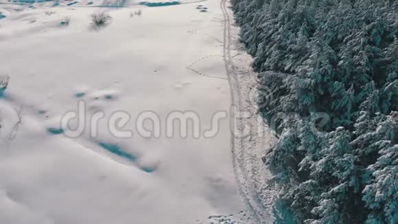 在阳光明媚的日子里观赏冬天的松林和雪道视频的预览图