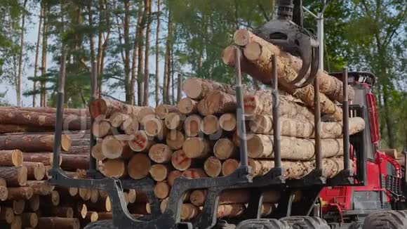 锯木厂工作流程原木卸货原木卡车视频的预览图