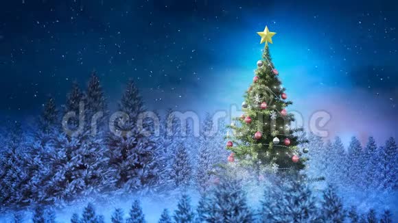 冬天的风景和下雪的圣诞树视频的预览图